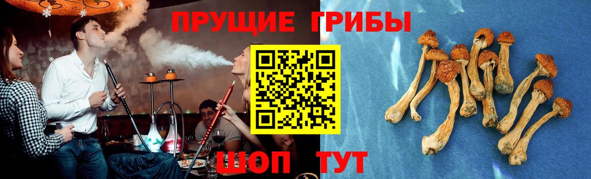Галлюциногенные грибы Psilocybine cubensis Салават